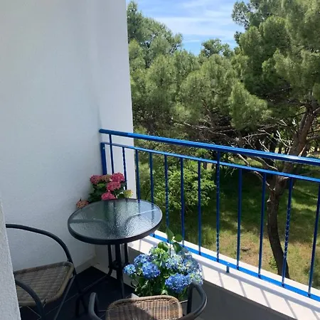 Ξενοδοχείο Elu Iris 3*