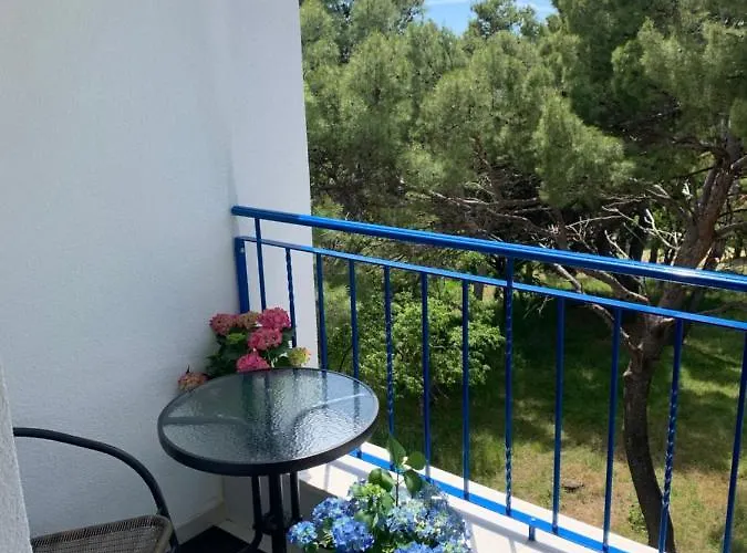 Hotel Elu Iris 3*